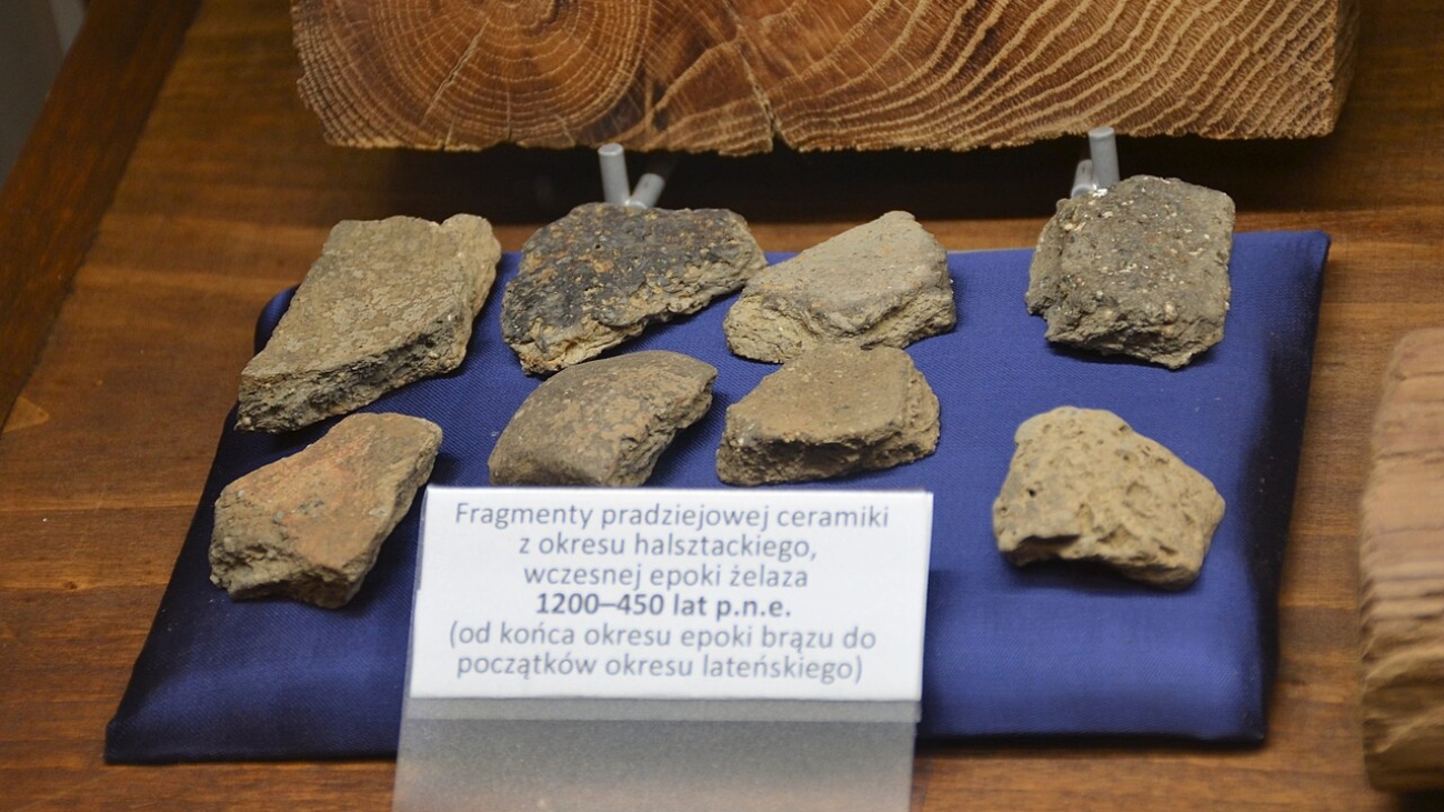 Imagem ilustrativa sobre archaeological excavation