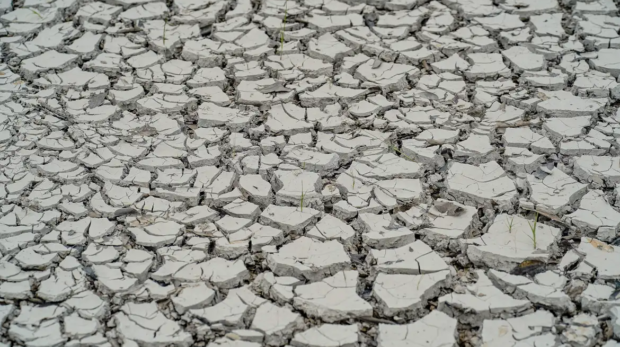 Solo rachado durante seca em Manaus, imagem de arquivo usada em materia sobre estiagem. Foto: Rafa Neddermeyer/Agencia Brasil.